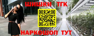 a pvp Свободный