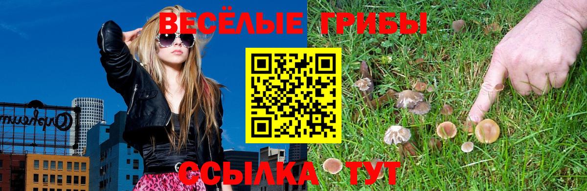 Псилоцибиновые грибы мухоморы  Вход с VPN  Оренбург 